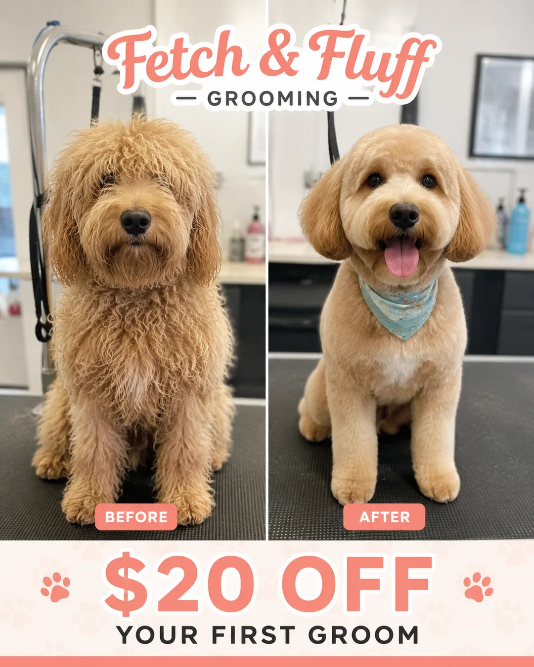 PaceRev-generated dog grooming ad: before-and-after of a groom with $20 off the first appointment
